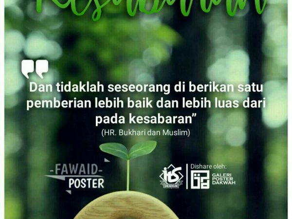 Galeri 003